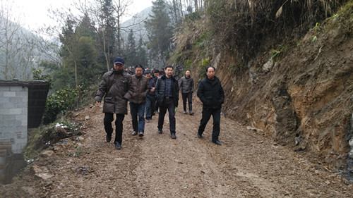 IMG_20160201_113159_副本.jpg IMG_20160201_113159_副本.jpg